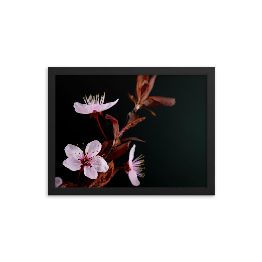 Purple Plum - Framed poster