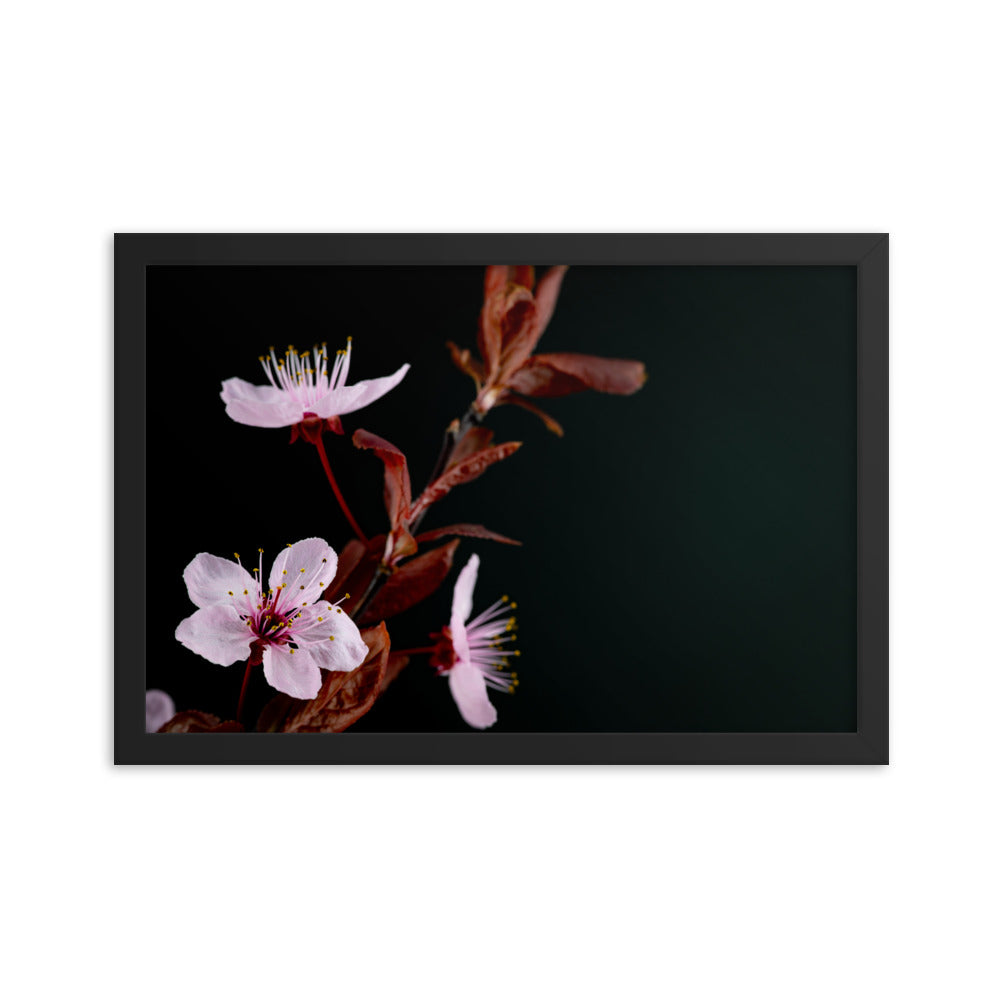 Purple Plum - Framed poster