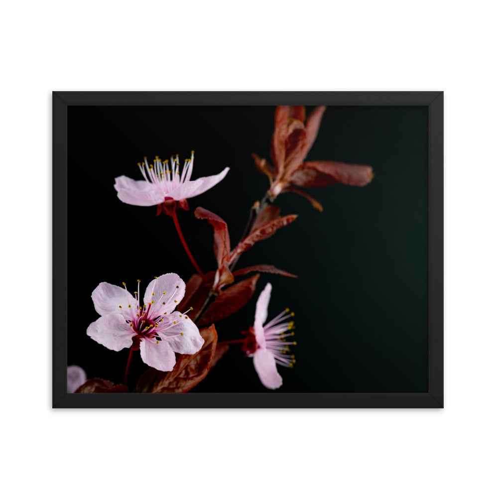 Purple Plum - Framed poster