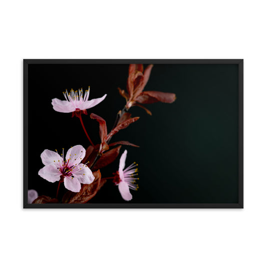 Purple Plum - Framed poster