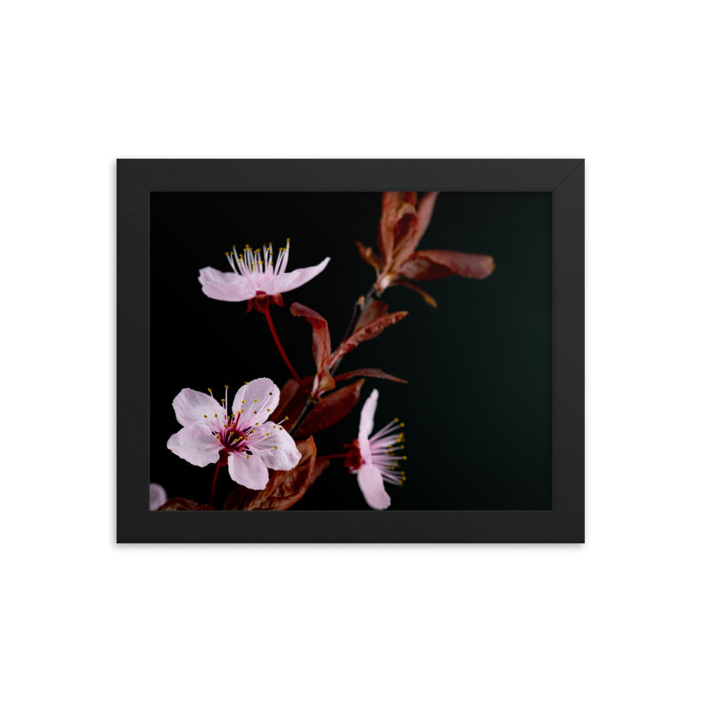 Purple Plum - Framed poster