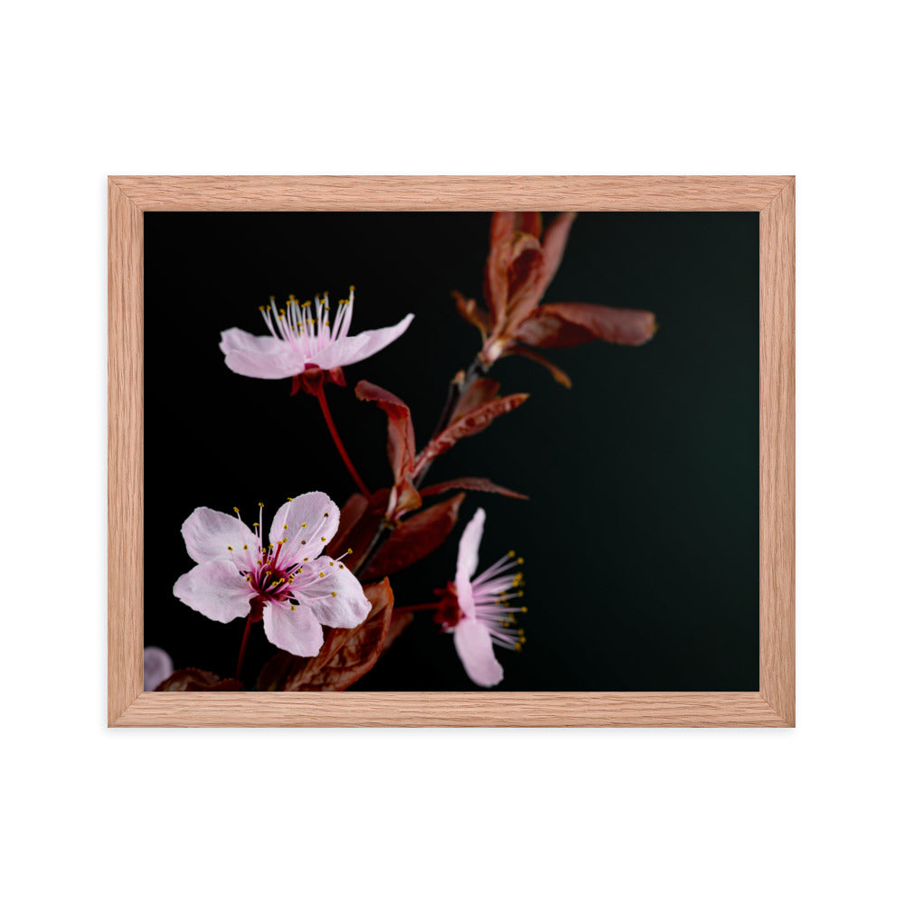 Purple Plum - Framed poster