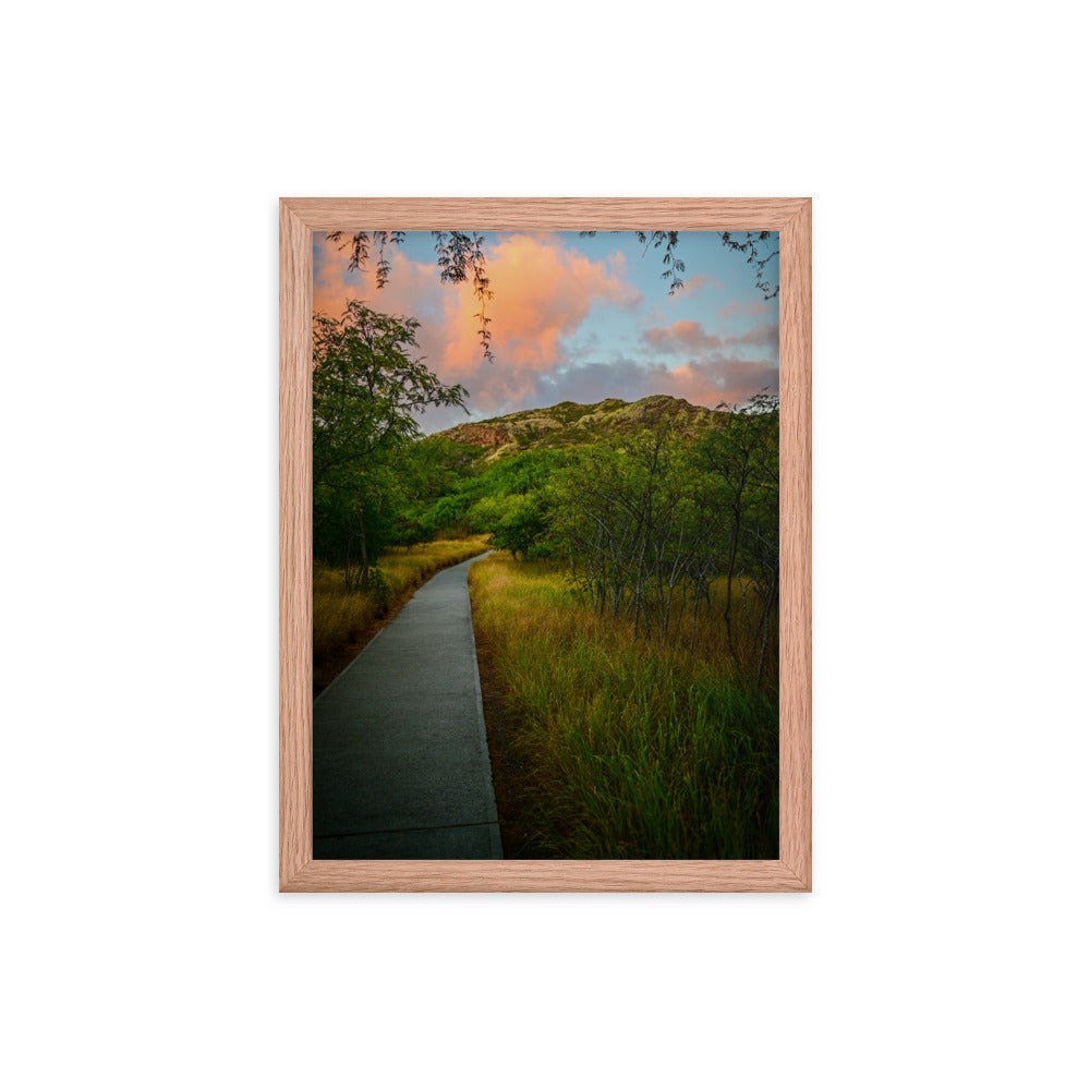 Diamond Head Trail - Framed poster