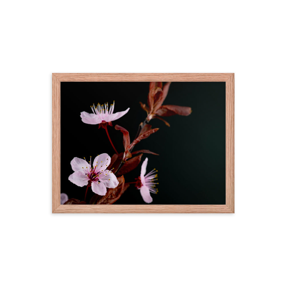 Purple Plum - Framed poster