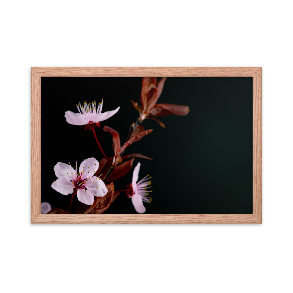 Purple Plum - Framed poster