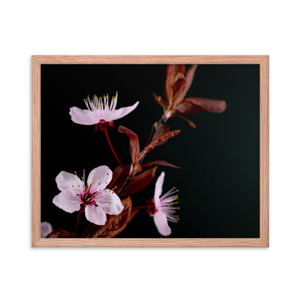 Purple Plum - Framed poster