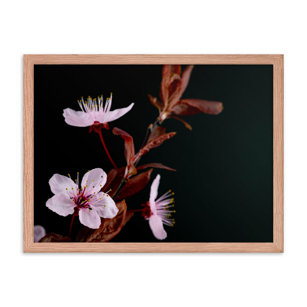 Purple Plum - Framed poster