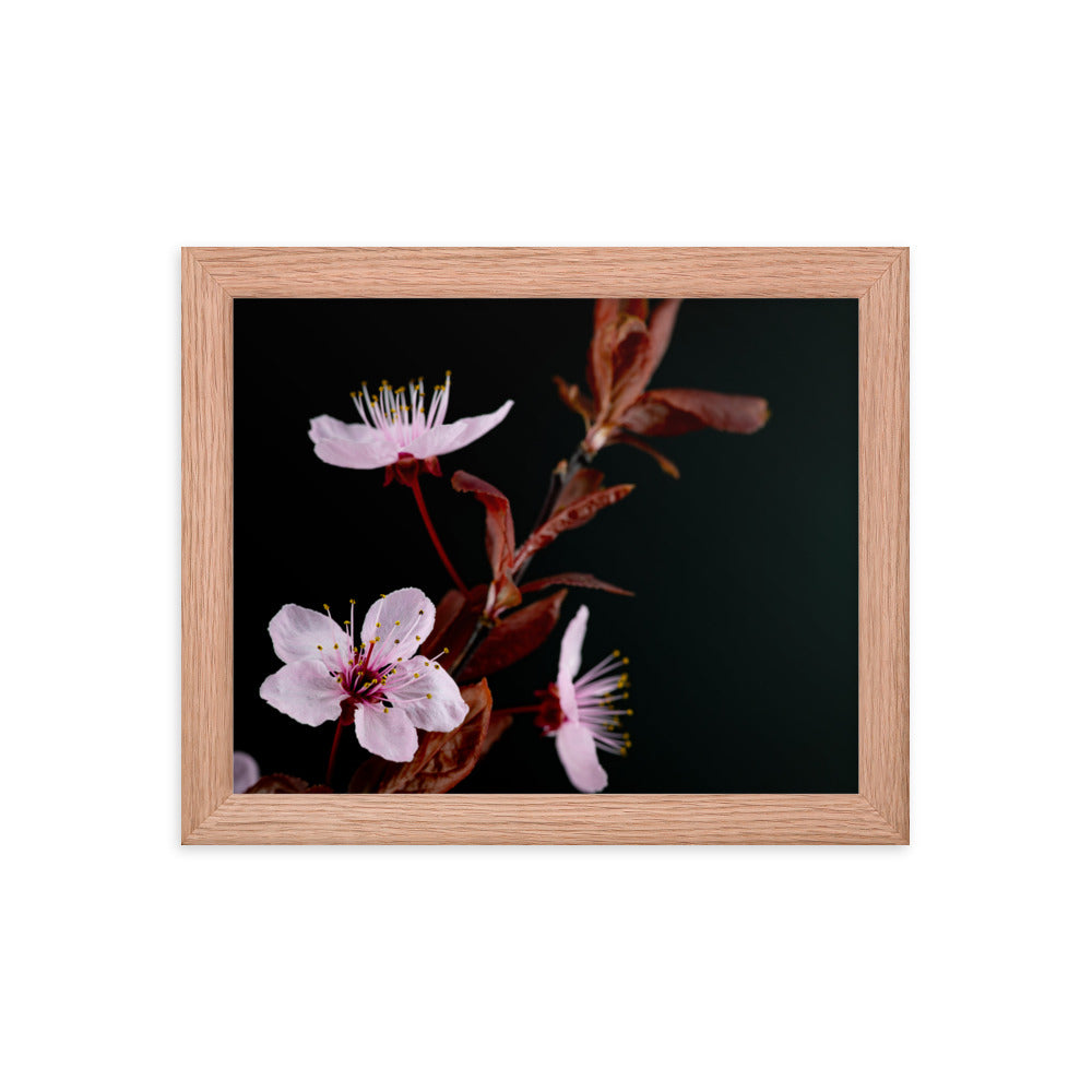 Purple Plum - Framed poster