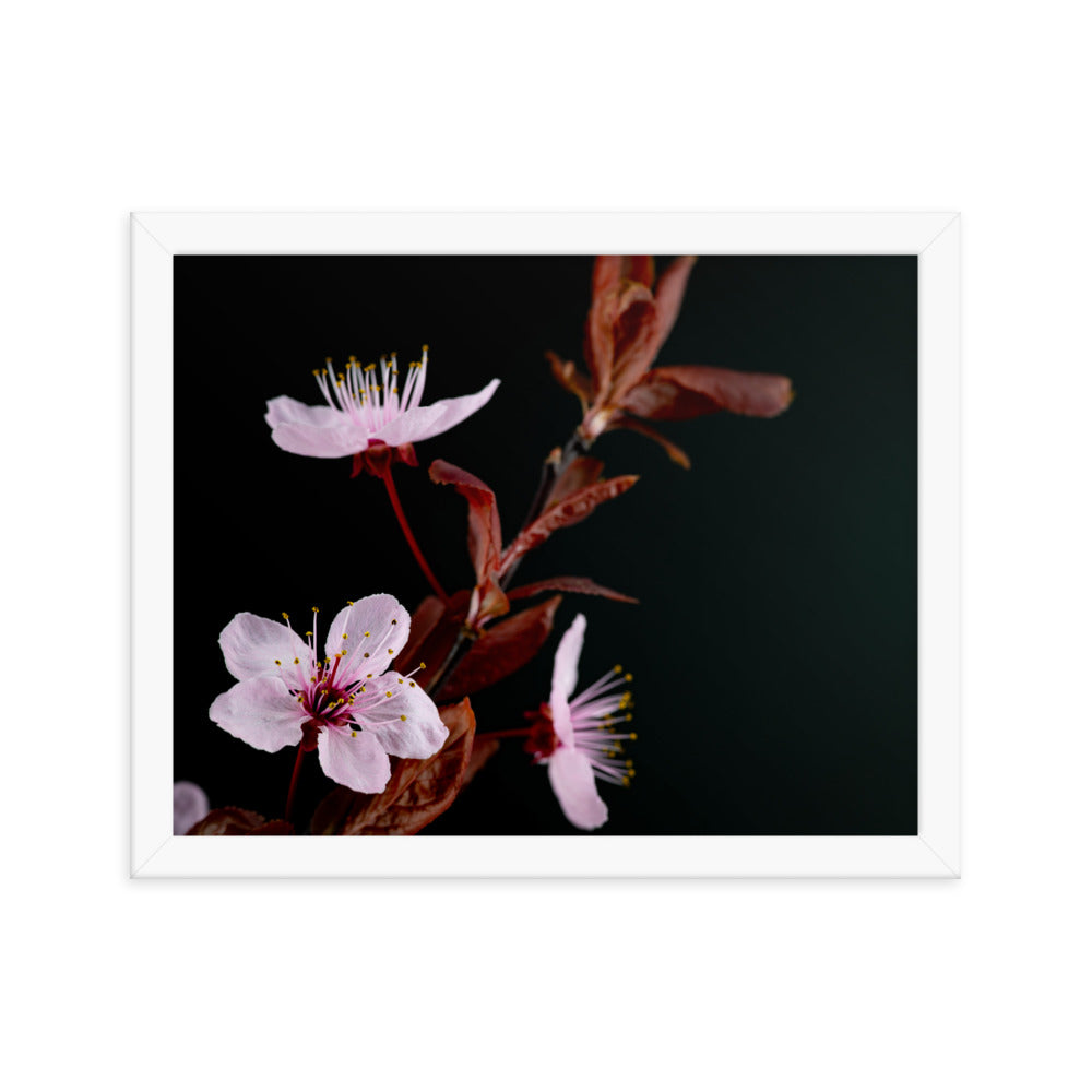 Purple Plum - Framed poster