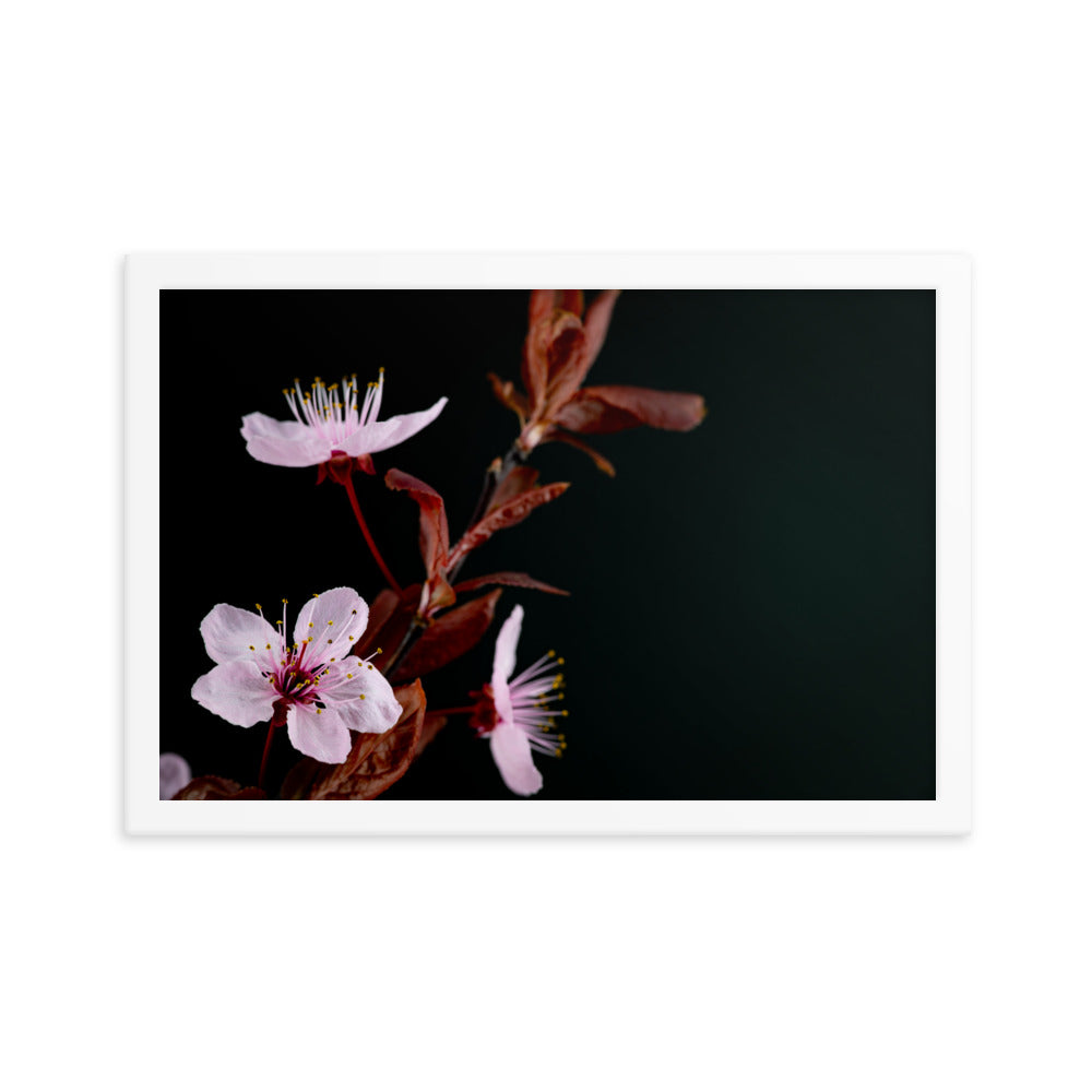 Purple Plum - Framed poster