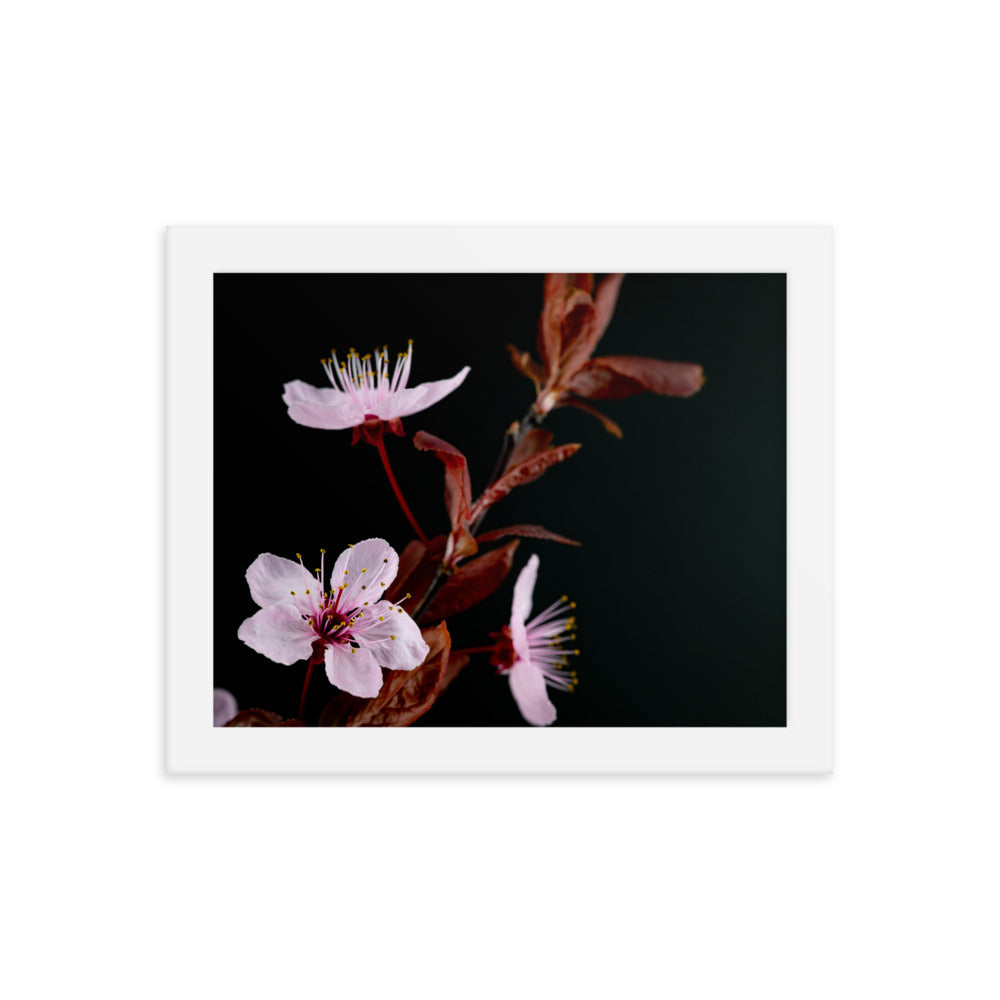 Purple Plum - Framed poster