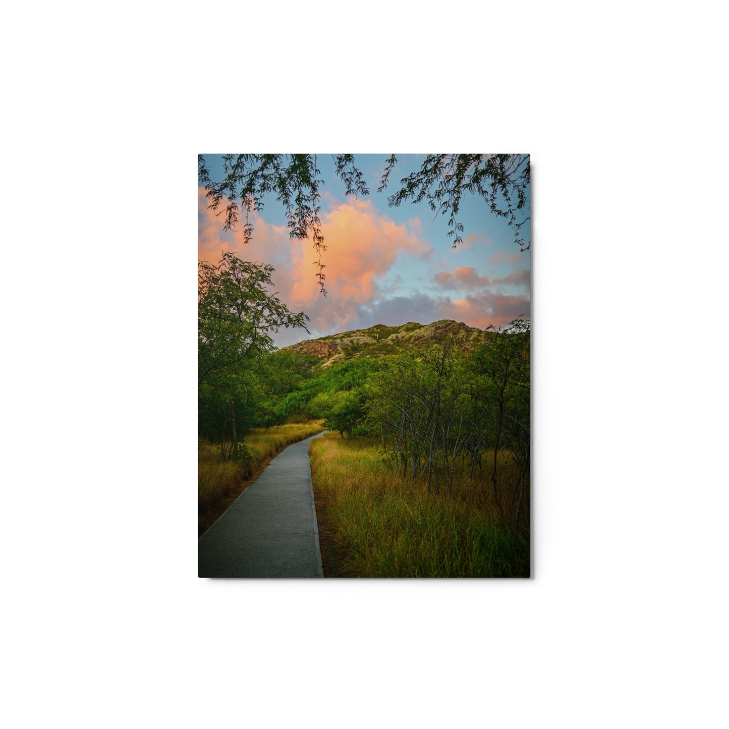 Diamond Head Trail - Metal prints