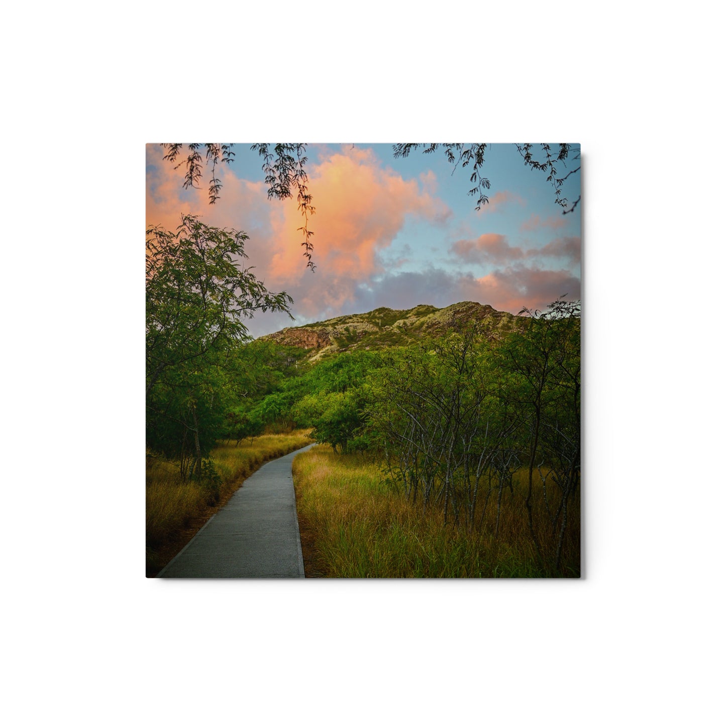 Diamond Head Trail - Metal prints