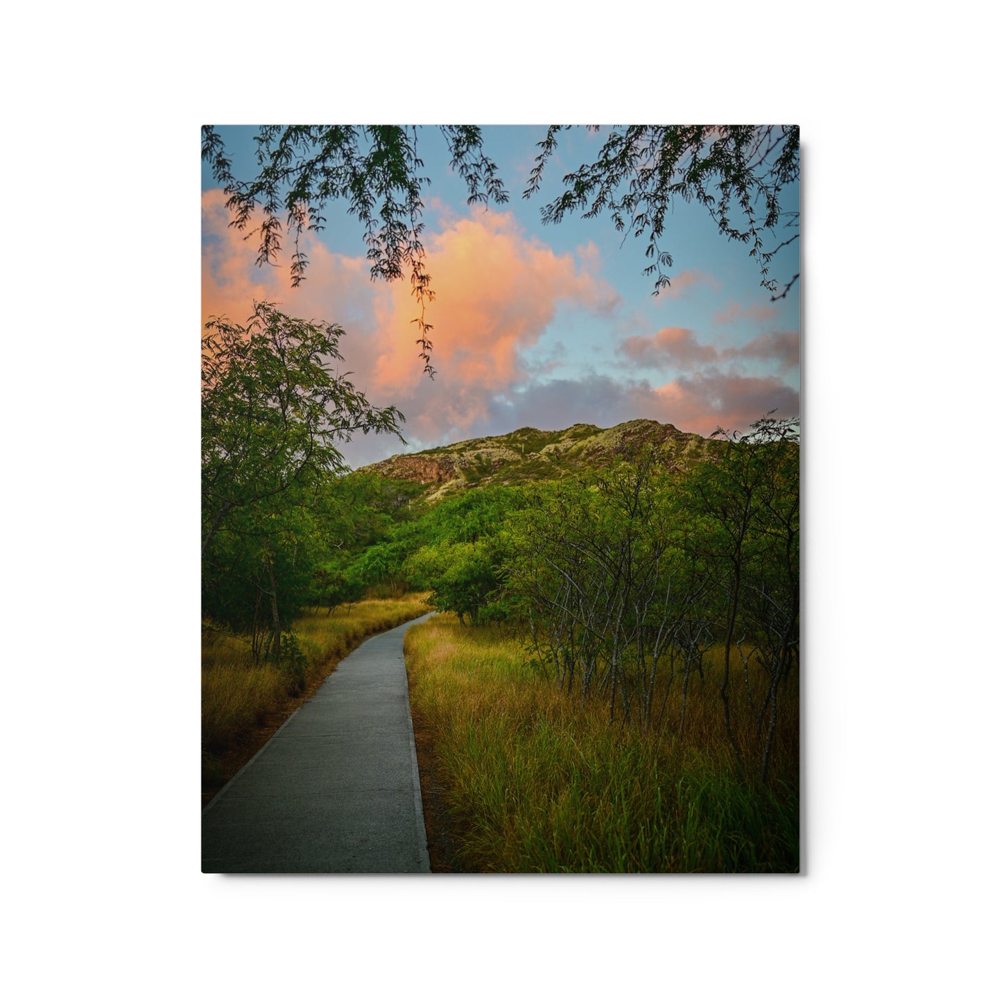 Diamond Head Trail - Metal prints