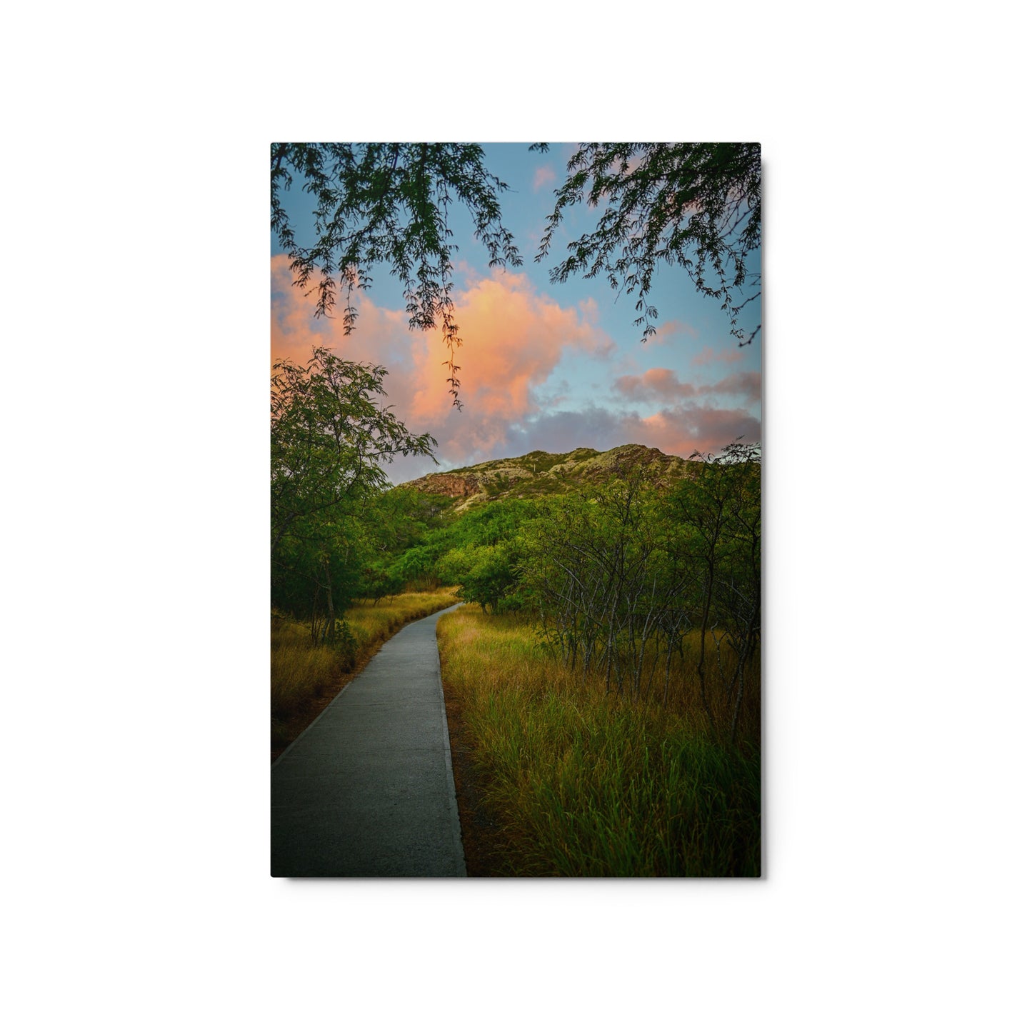 Diamond Head Trail - Metal prints