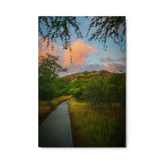 Diamond Head Trail - Metal prints