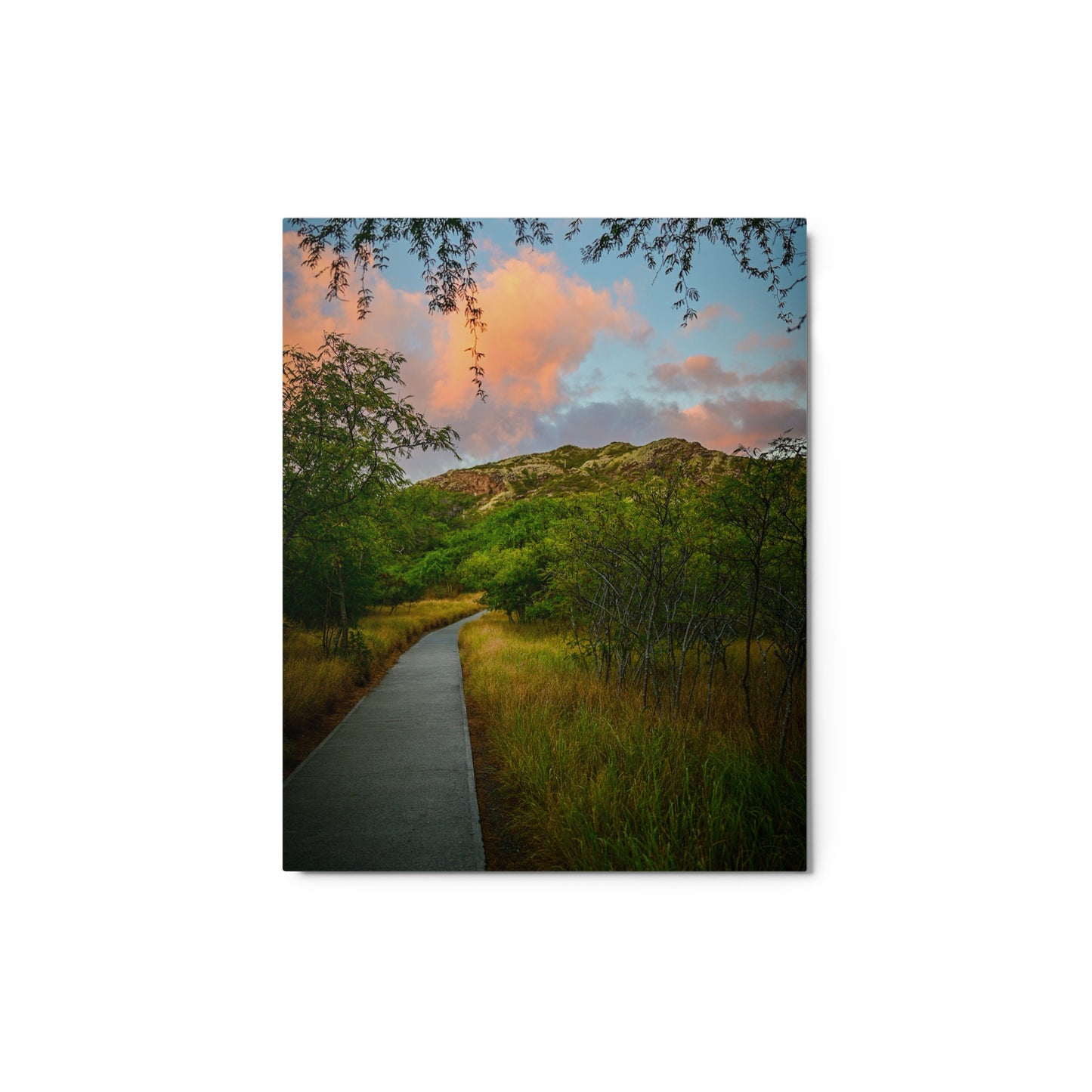 Diamond Head Trail - Metal prints