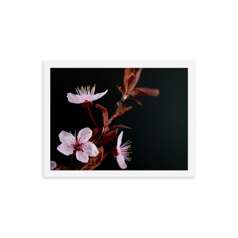 Purple Plum - Framed photo paper poster