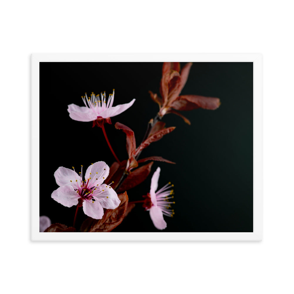 Purple Plum - Framed photo paper poster