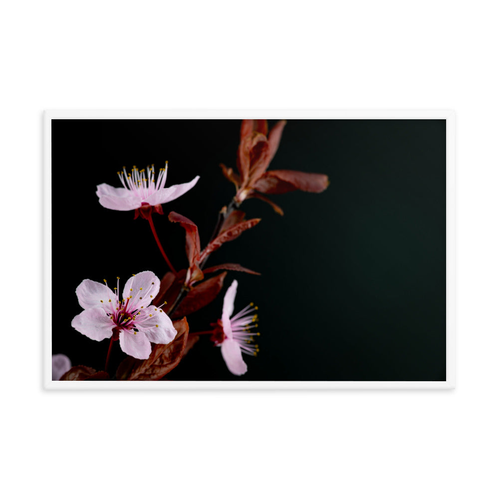 Purple Plum - Framed photo paper poster