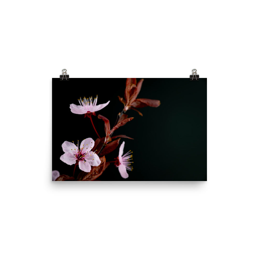 Purple Plum - Photo paper poster