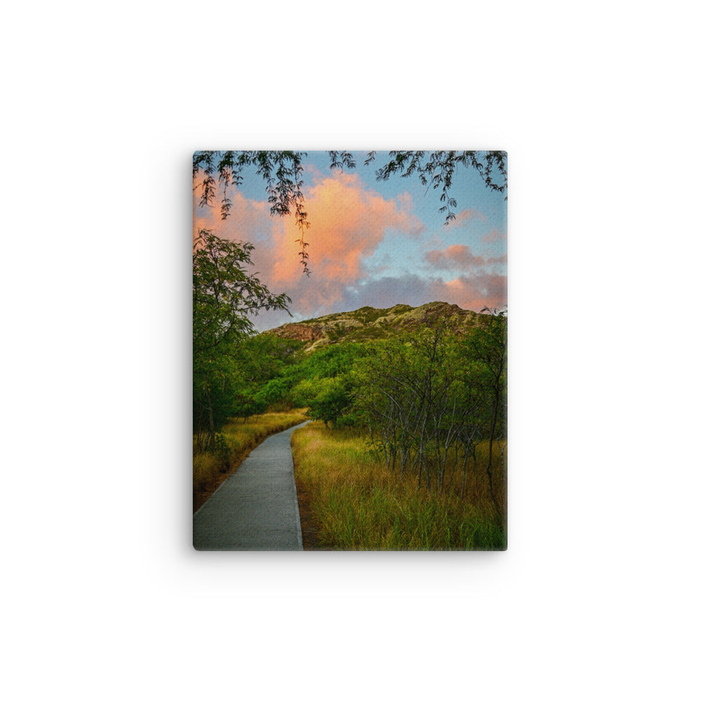 Diamond Head Trail - Thin canvas