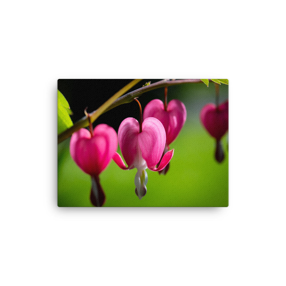 Bleeding Heart Flower - Thin canvas