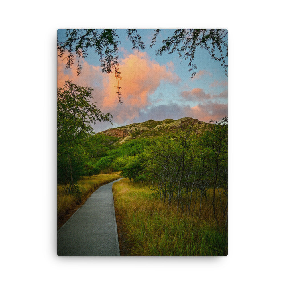 Diamond Head Trail - Thin canvas