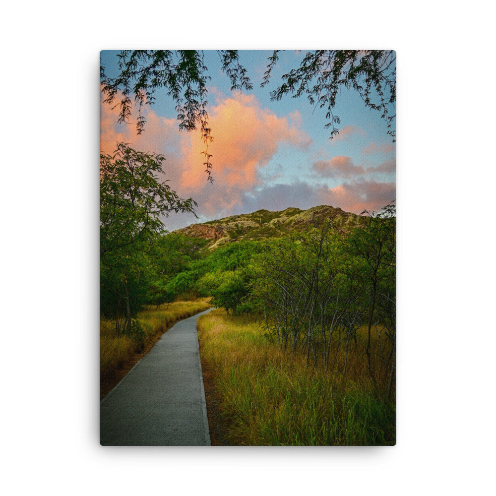 Diamond Head Trail - Thin canvas